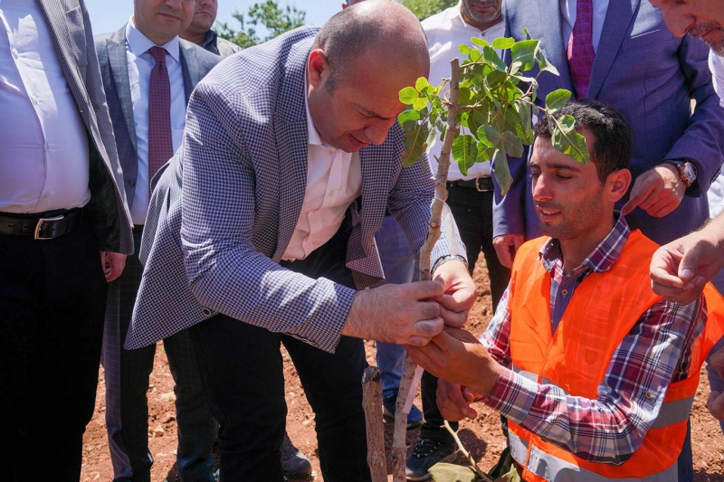 Diyarbakır'da 100 bin ağaçlık fıstık aşılama kampanyası başlatıldı