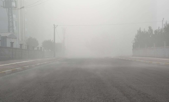 Diyarbakır'da yoğun sis etkili oluyor
